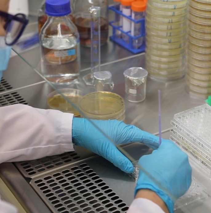 Wetenschapper die bezig is met een pipet